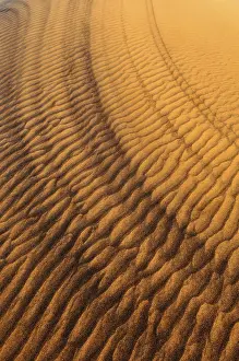 Sand Dune Patterns Stampe: Sand patterns on the surface of a dune