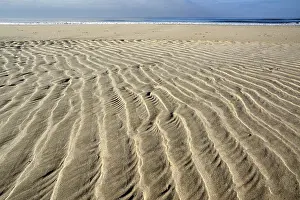 Deserted Danish Beach Stampe: Sand ripple patterns on the beach