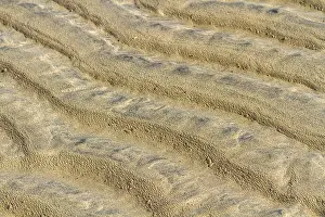 Deserted Spanish Landscapes Stampe: Sand structures, Background, Texture