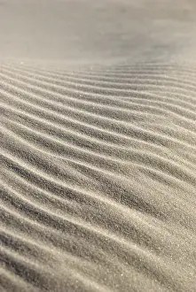 Wind Sculpted Sand Dunes Stampe: Sand structures, created by waves and wind