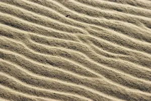 North Sea Coastline Stampe: Sand structures, created by waves and wind