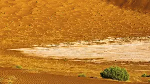 Empty Quarter Sand Dunes Stampe: Sand structures shaped by the wind