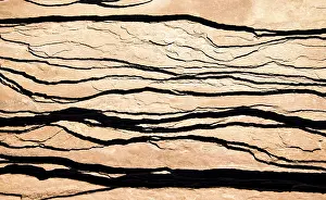 US Travel Photography Stampe: Sandstone rocks, structure, detail