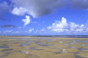 Sandy Beach At Low Tide Stampe: Sandy beach at low tide, wavy pattern