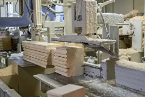 Deserted Sawmill Scene Stampe: At sawmill. Image of profiled bar during processing