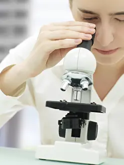 Laboratory Equipment Stampe: Scientist looking through a microscope