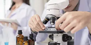 Scientist At Work Stampe: A scientist performs a microbial analysis using a microscope in a laboratory setting