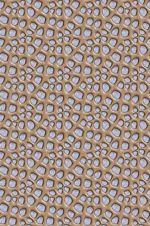 Full Frame Wallpaper Image Stampe: Seamless tileable decorative background pattern