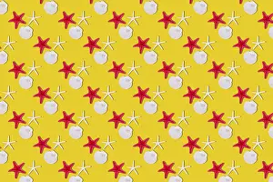 Deserted Beach Wallpaper Stampe: Seashells on yellow background, seamless pattern