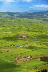 Azores Portugal Landscape Stampe: Serra do Cume Viewpoint overlooking the patchwork