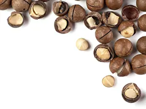 Flat Lay Photography Stampe: Set of macadamia nuts on white background