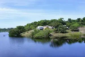 South American Wilderness Scene Stampe: Settlement along an Amazon tributary