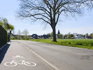 Bicycle Lane Pavement Stampe: Shared pavement and cycle path