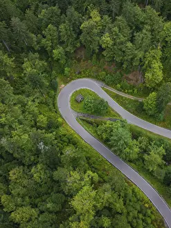 Black Forest Road Stampe: Sharp bend in a road surrounded by dense forest