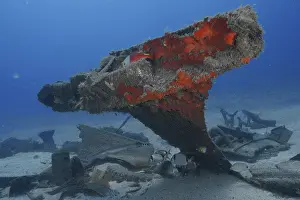 Russian Hydrofoil Wreck Stampe: Shipwreck with exposed, rusty structures and fish below