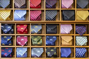 Fashionable Accessories Stampe: Showcase with multicolored ties