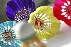 Colorful Bird Feathers Stampe: Shuttlecocks made in China