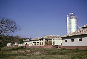 Historic Farm Buildings Stampe: Silos barns stables calves grazing
