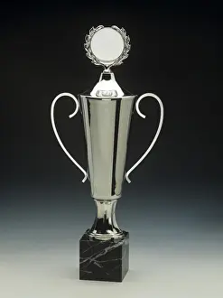 Ornate Decoration Stampe: Silver trophy