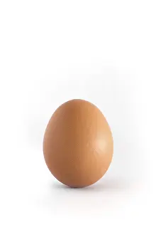 Breakfast Food Stampe: Single egg on white background vertical