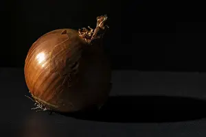 Dramatic Light Stampe: Single onion placed in dramatic light and shadow on dark background