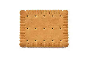 Studio Shot Dessert Stampe: Single rectangular biscuit isolated on white background