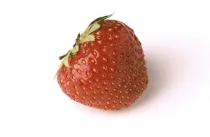 Strawberry Nutrition Stampe: Single strawberry