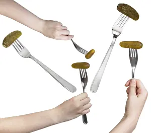 Isolated Food Images Stampe: Single table fork set with pickled cucumber on white background