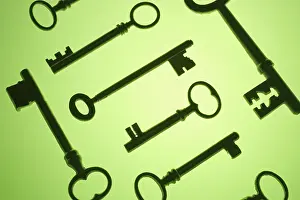 Studio Shot Keys Stampe: Skeleton Keys