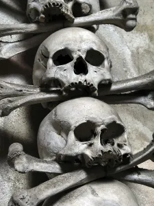 Deserted Gravesite Stampe: Skulls and bones