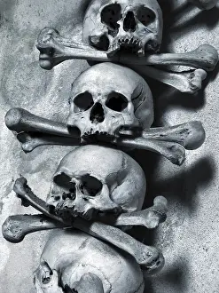 Deserted Graveyard Stampe: Skulls and bones