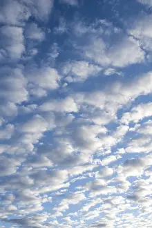 European Landscape Stampe: Sky with cirrocumulus clouds, fleecy clouds