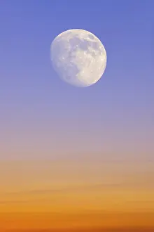 Blue Evening Sky Stampe: Sky with the moon, composing