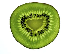 Detailed Wildlife Images Stampe: Slice of kiwi