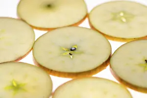 Healthy Eating Tips Stampe: Sliced apple