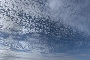Cirrocumulus Cloud Formation Stampe: Small cirrocumuli (Cirrocumulus)