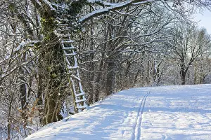 German Countryside Snowy Landscape Stampe: Small path at the edge of a field