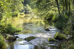 Deserted Creek Stampe: Small rapids on a stream in summer