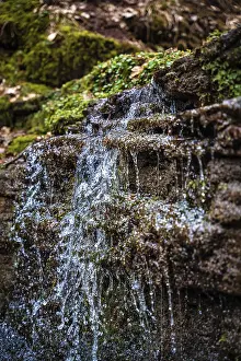 Black Forest Waterfall Stampe: Small stream in the forest with waterfall