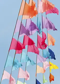 Deserted Landscape Photos Stampe: Many small triangular colorful flags