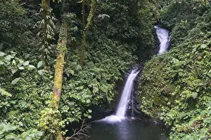 Tropical Waterfall Scene Stampe: Small waterfall in the cloud forest