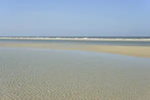 Lower Saxony Coastline Stampe: Small waves with light reflections