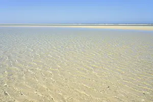 Lower Saxony Coastline Stampe: Small waves with light reflections