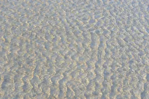 Northern Germany Coastal Views Stampe: Small waves on the sandy beach with light reflections