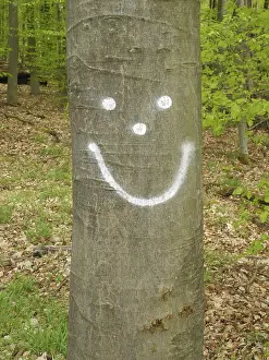 Fagaceae Family Trees Stampe: Smiley, tree, log, forest, beech