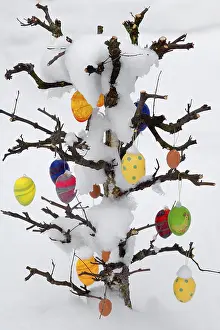 Easter Egg Celebration Stampe: Snow covered Easter tree with eggs
