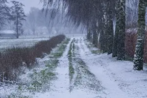 Winter Landscape Germany Stampe: Snow-covered path between trees and fields