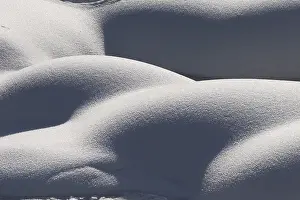 Frosty Winter Landscape Stampe: Snow hump pattern