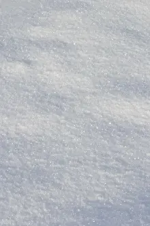 Macro Winter Scene Stampe: Snow surface