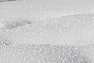 Full Frame Winter Image Stampe: Snowy surface